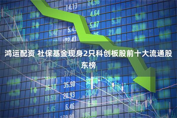 鸿运配资 社保基金现身2只科创板股前十大流通股东榜